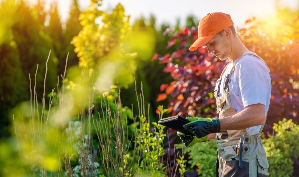 Landscaping